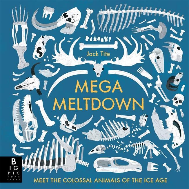 Cover: 9781783708314 | Mega Meltdown | Jack Tite | Buch | Gebunden | Englisch | 2018