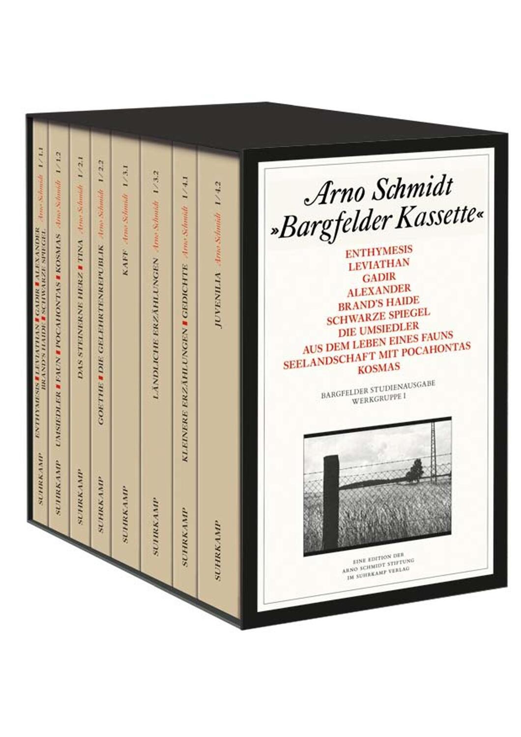 Cover: 9783518803509 | Bargfelder Ausgabe. Studienausgabe der Werkgruppe I: Romane,...