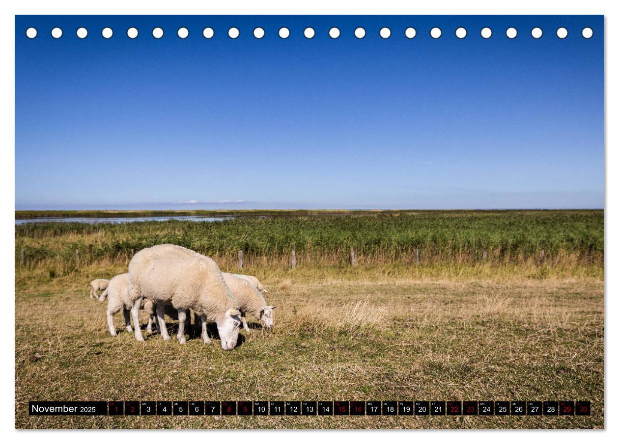 Bild: 9783435424146 | Insel Fehmarn - Impressionen eines Sommertages an der Ostsee...