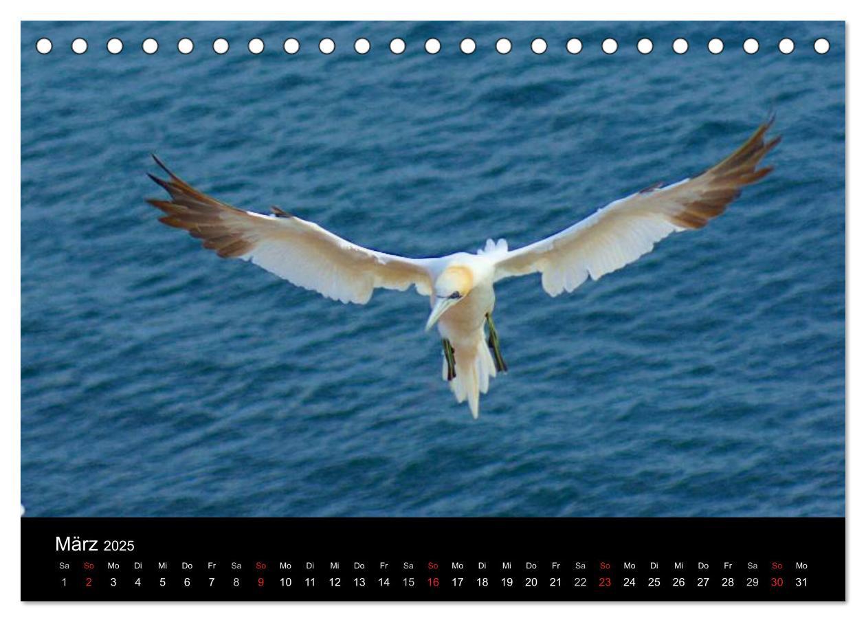 Bild: 9783435814251 | An der Nordsee (Tischkalender 2025 DIN A5 quer), CALVENDO...