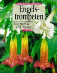 Cover: 9783800166145 | Engelstrompeten. Brugmansia und Datura | Ulrike Preißel (u. a.) | Buch