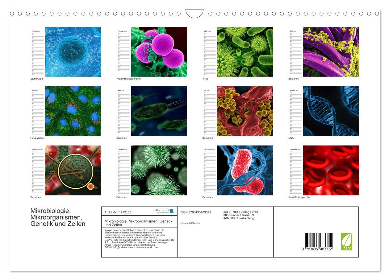 Bild: 9783435483372 | Mikrobiologie. Mikroorganismen, Genetik und Zellen (Wandkalender...