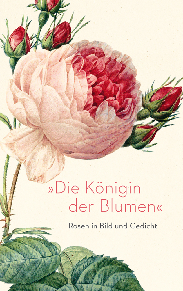 Cover: 9783150114063 | »Die Königin der Blumen« | Rosen in Bild und Gedicht | Eva Hoffmeier