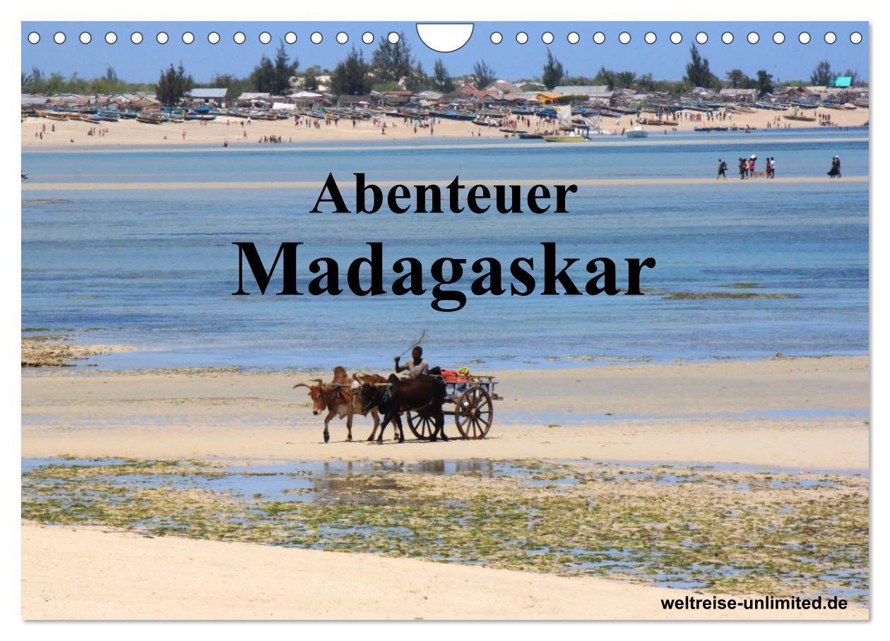 Cover: 9783435484003 | Abenteuer Madagaskar (Wandkalender 2025 DIN A4 quer), CALVENDO...