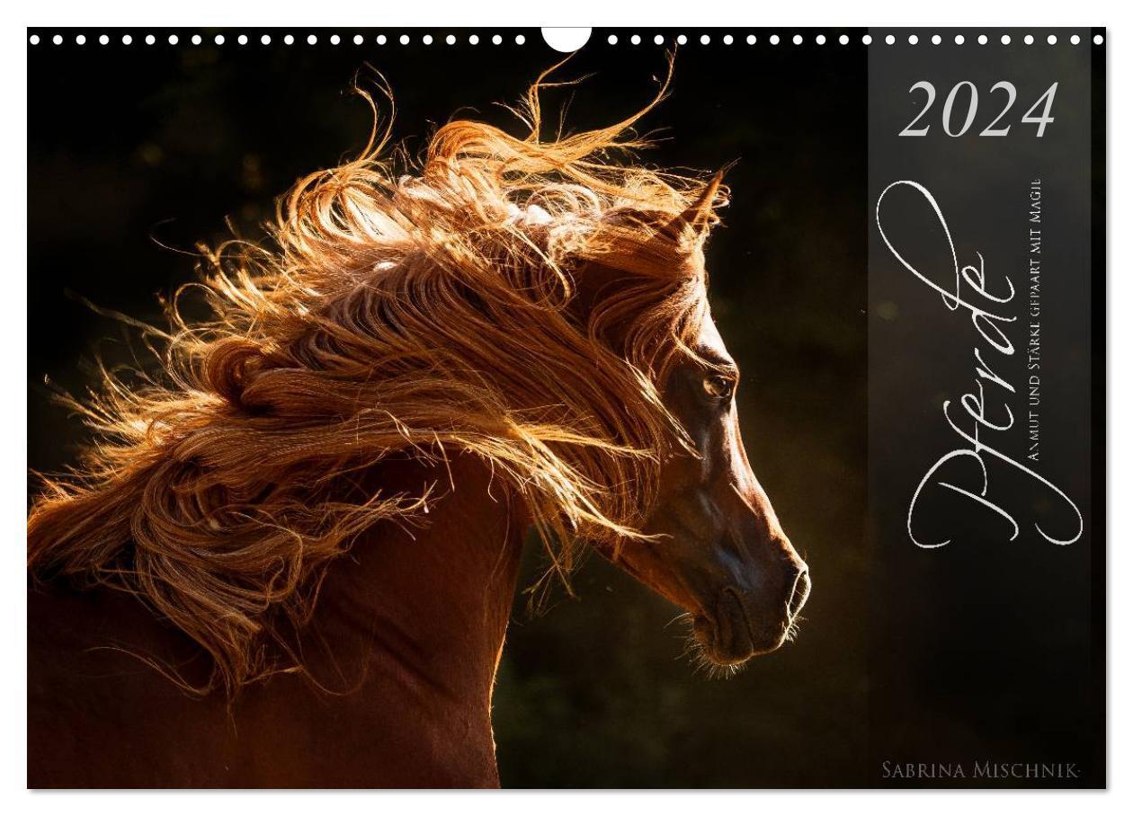 Cover: 9783675468375 | Pferde - Anmut und Stärke gepaart mit Magie (Wandkalender 2024 DIN...