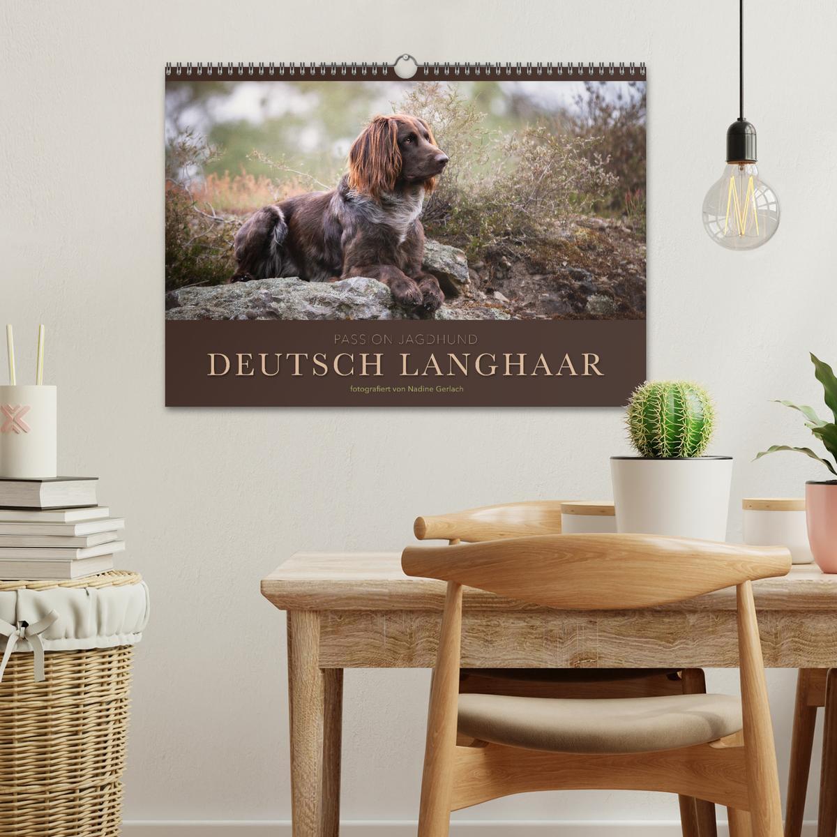 Bild: 9783383930645 | Passion Jagdhund - Deutsch Langhaar (Wandkalender 2025 DIN A3...