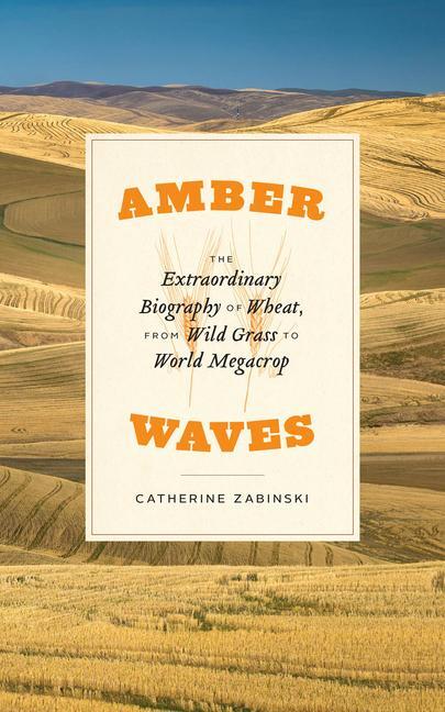 Cover: 9780226820057 | Amber Waves | Catherine Zabinski | Taschenbuch | Englisch | 2022