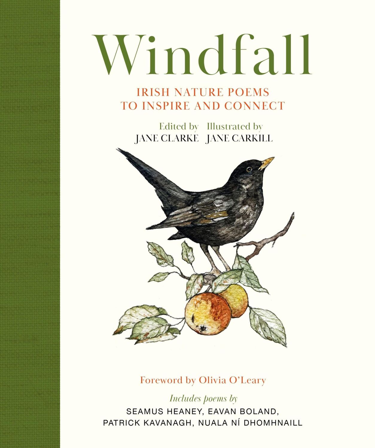 Cover: 9781399729611 | Windfall | Irish Nature Poems to Inspire and Connect | Jane Clarke