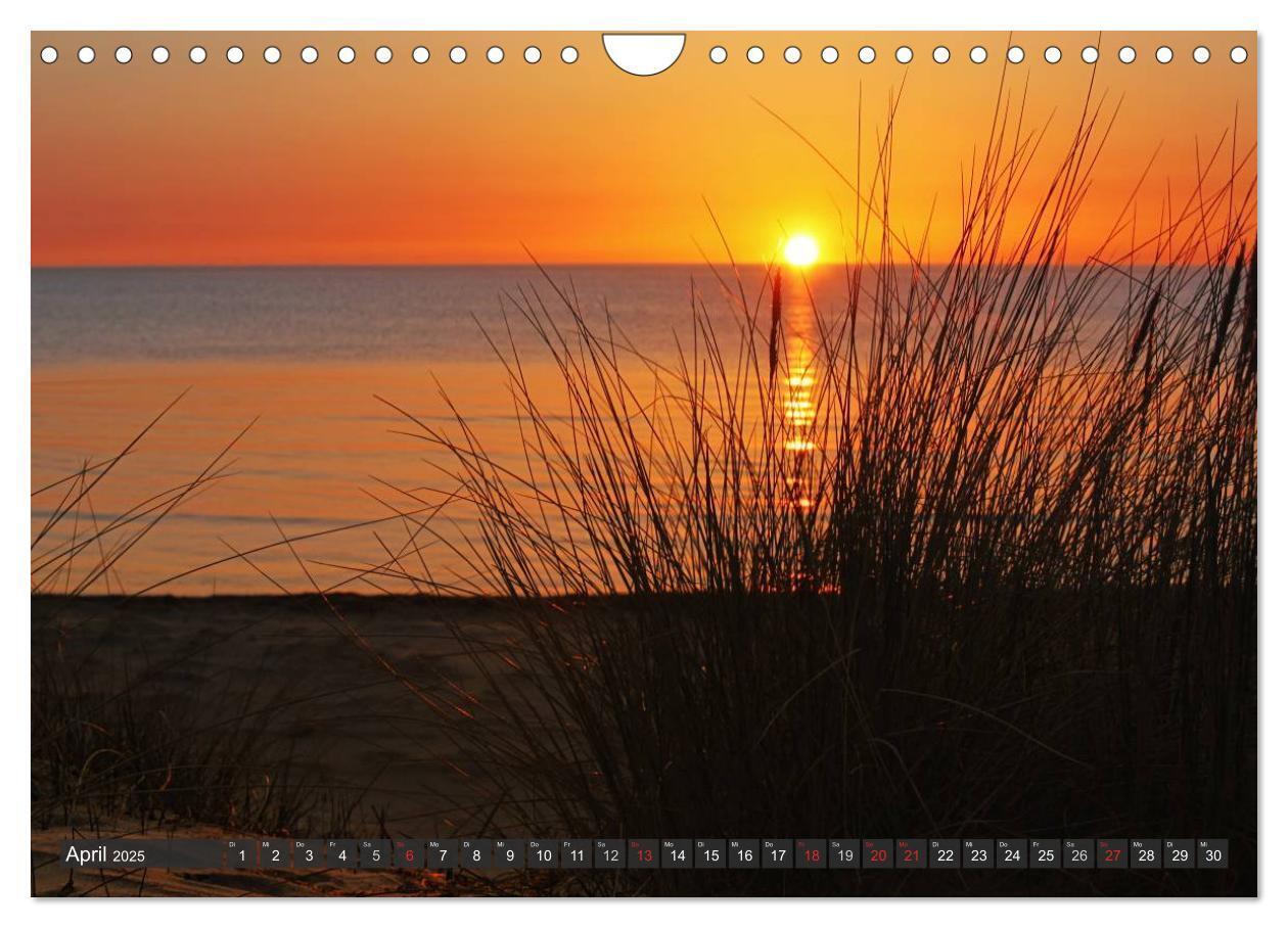 Bild: 9783435755813 | Insel Hiddensee (Wandkalender 2025 DIN A4 quer), CALVENDO...