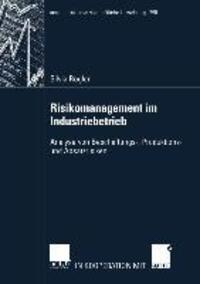 Cover: 9783824490844 | Risikomanagement im Industriebetrieb | Silvia Rogler | Taschenbuch