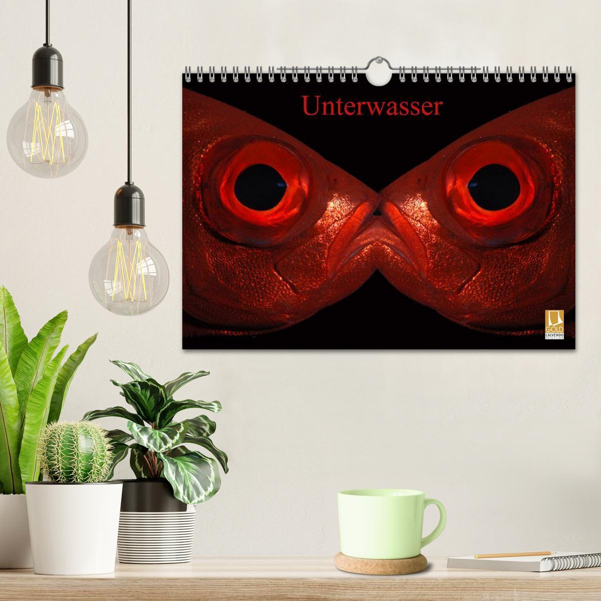 Bild: 9783435661916 | Unterwasser (Wandkalender 2025 DIN A4 quer), CALVENDO Monatskalender