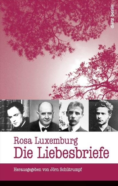 Cover: 9783320022327 | Rosa Luxemburg: Die Liebesbriefe | Jörn Schütrumpf | Buch | Deutsch