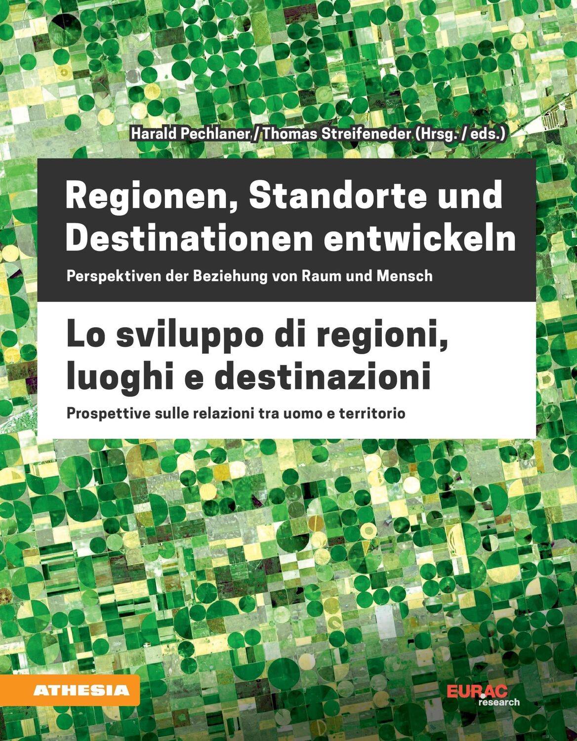 Cover: 9788868392482 | Regionen, Standorte und Destinationen entwickeln - Lo sviluppo di...