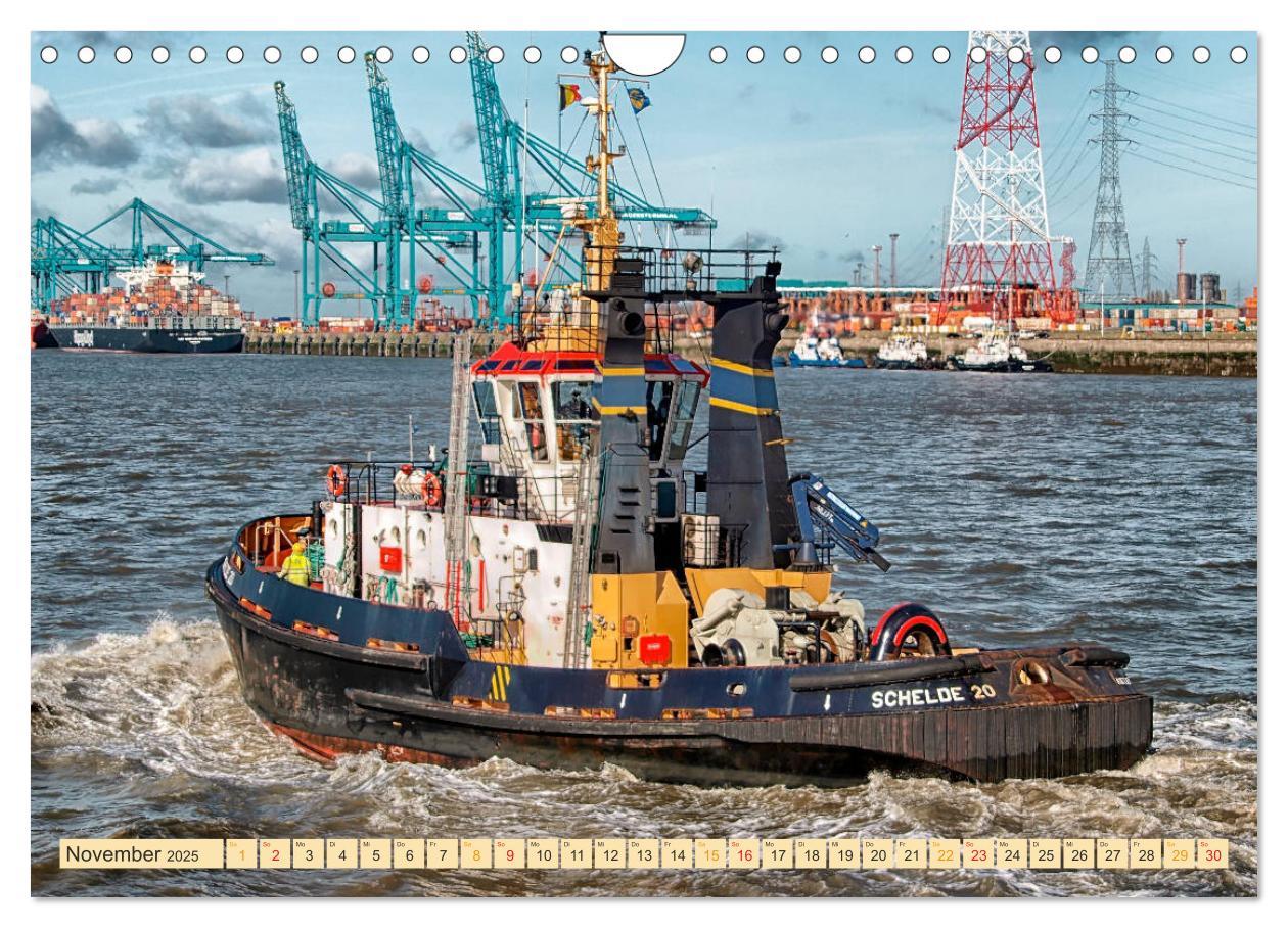 Bild: 9783435278664 | Schlepper - bärenstarke Arbeitstiere (Wandkalender 2025 DIN A4...