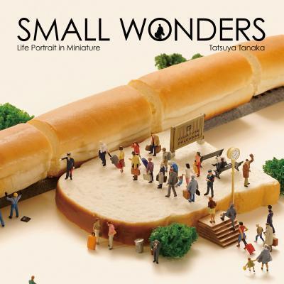 Cover: 9784865050776 | Small Wonders: Life Portrait in Miniature | Tatsuya Tanaka | Buch