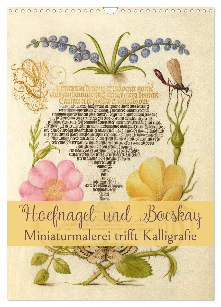 Cover: 9783675662421 | Hoefnagel und Bocskay - Miniaturmalerei trifft Kalligrafie...