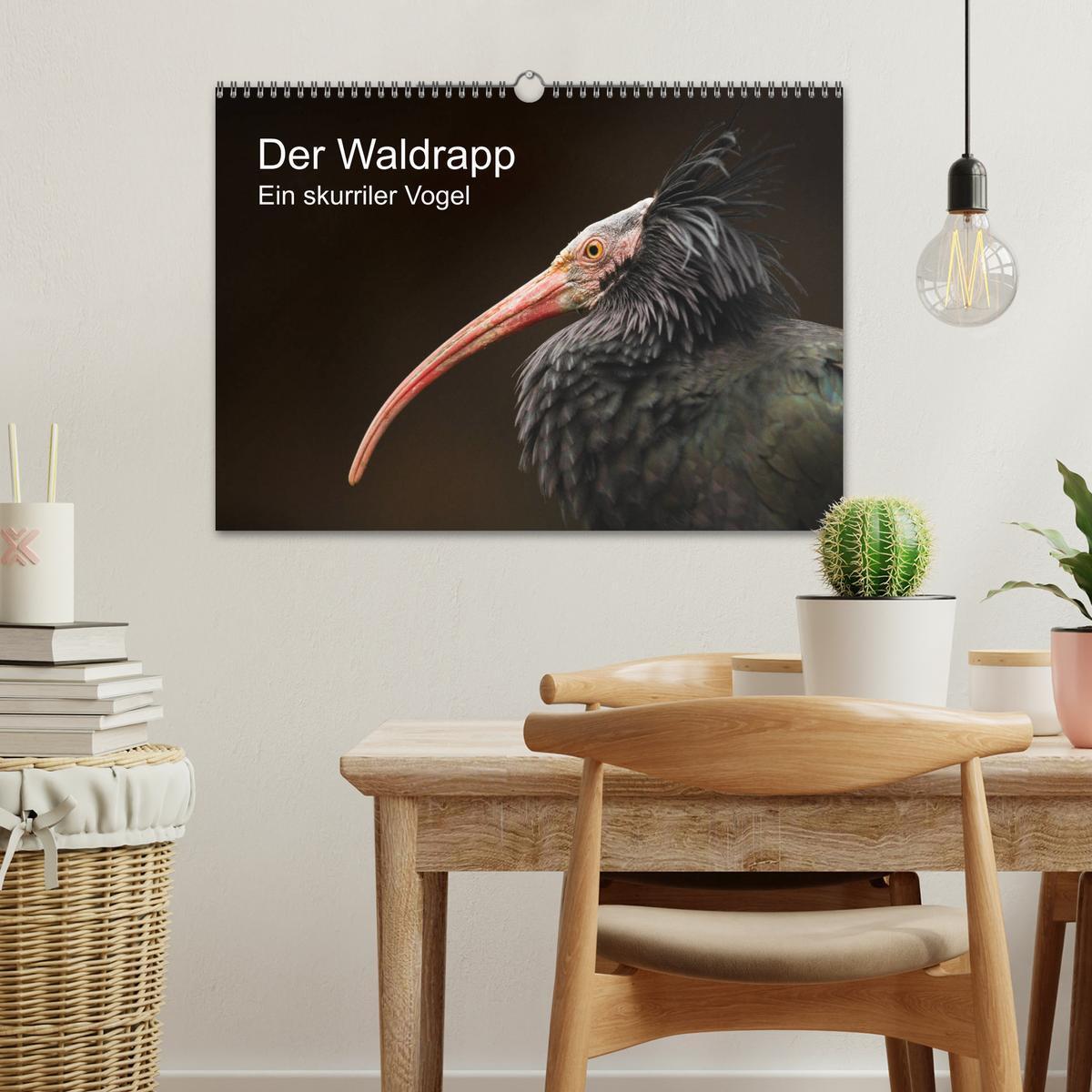 Bild: 9783435136421 | Der Waldrapp - Ein skurriler Vogel (Wandkalender 2025 DIN A3 quer),...