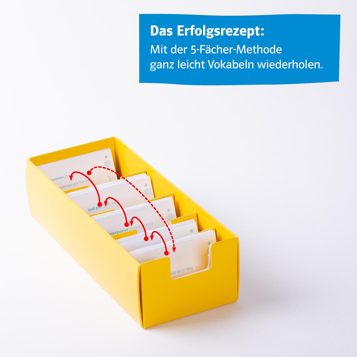 Bild: 9783129240496 | Green Line 5 G8 Klasse 9 Vokabel-Lernbox zum Schulbuch. Englisch