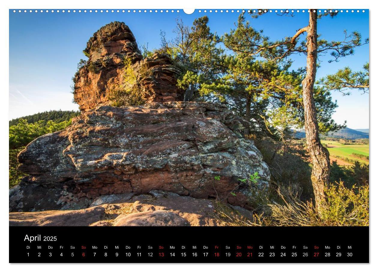 Bild: 9783435586479 | Mystischer Pfälzer Wald (hochwertiger Premium Wandkalender 2025 DIN...