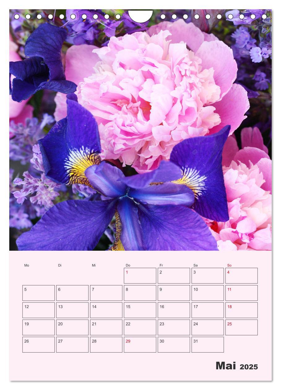 Bild: 9783435971886 | Pfingstrosen Rosen ohne Dornen (Wandkalender 2025 DIN A4 hoch),...