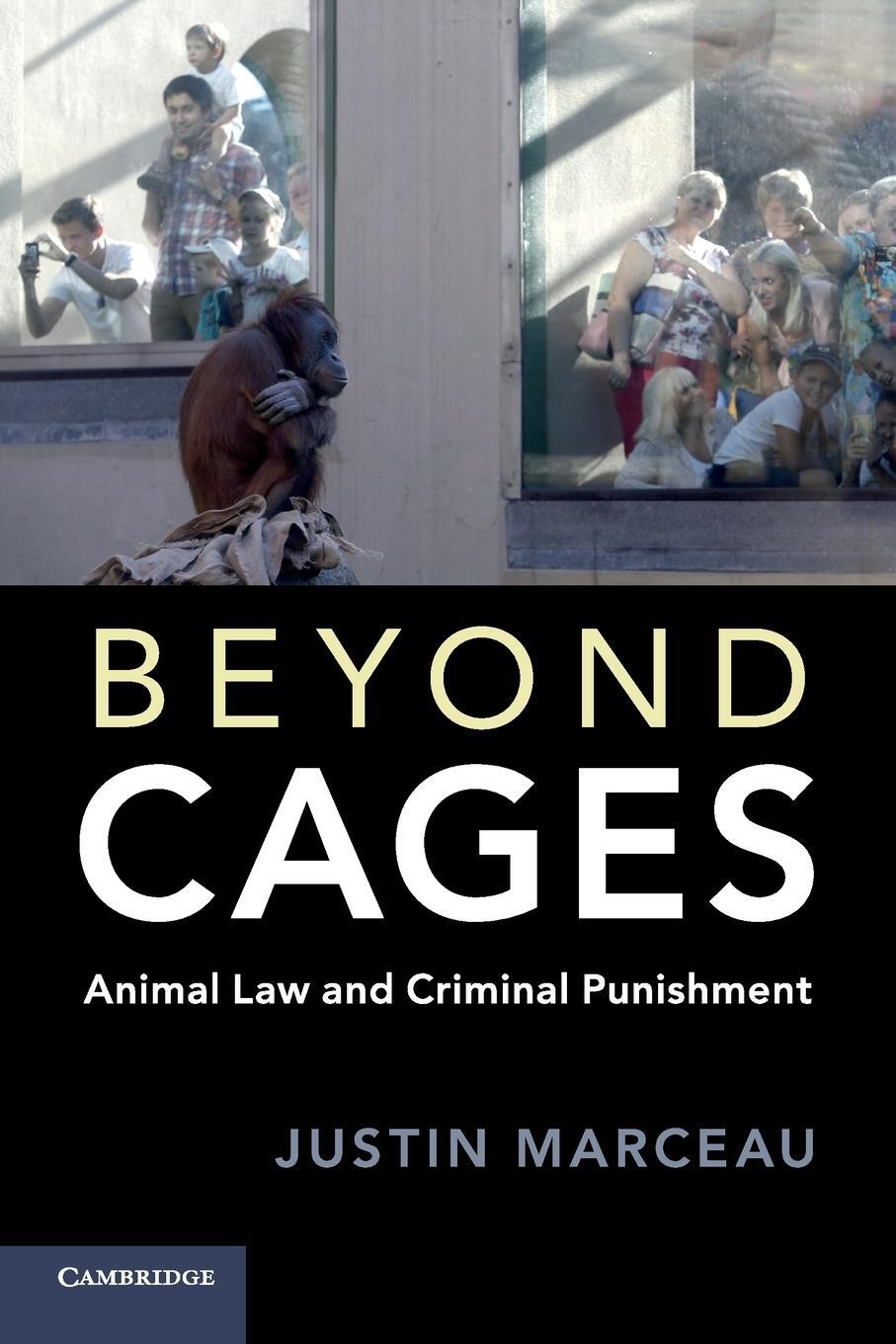 Cover: 9781108405454 | Beyond Cages | Justin Marceau | Taschenbuch | Paperback | Englisch