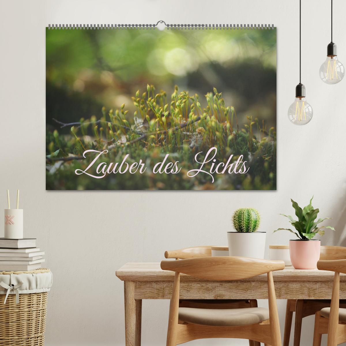 Bild: 9783383893599 | Zauber des Lichts (Wandkalender 2025 DIN A2 quer), CALVENDO...