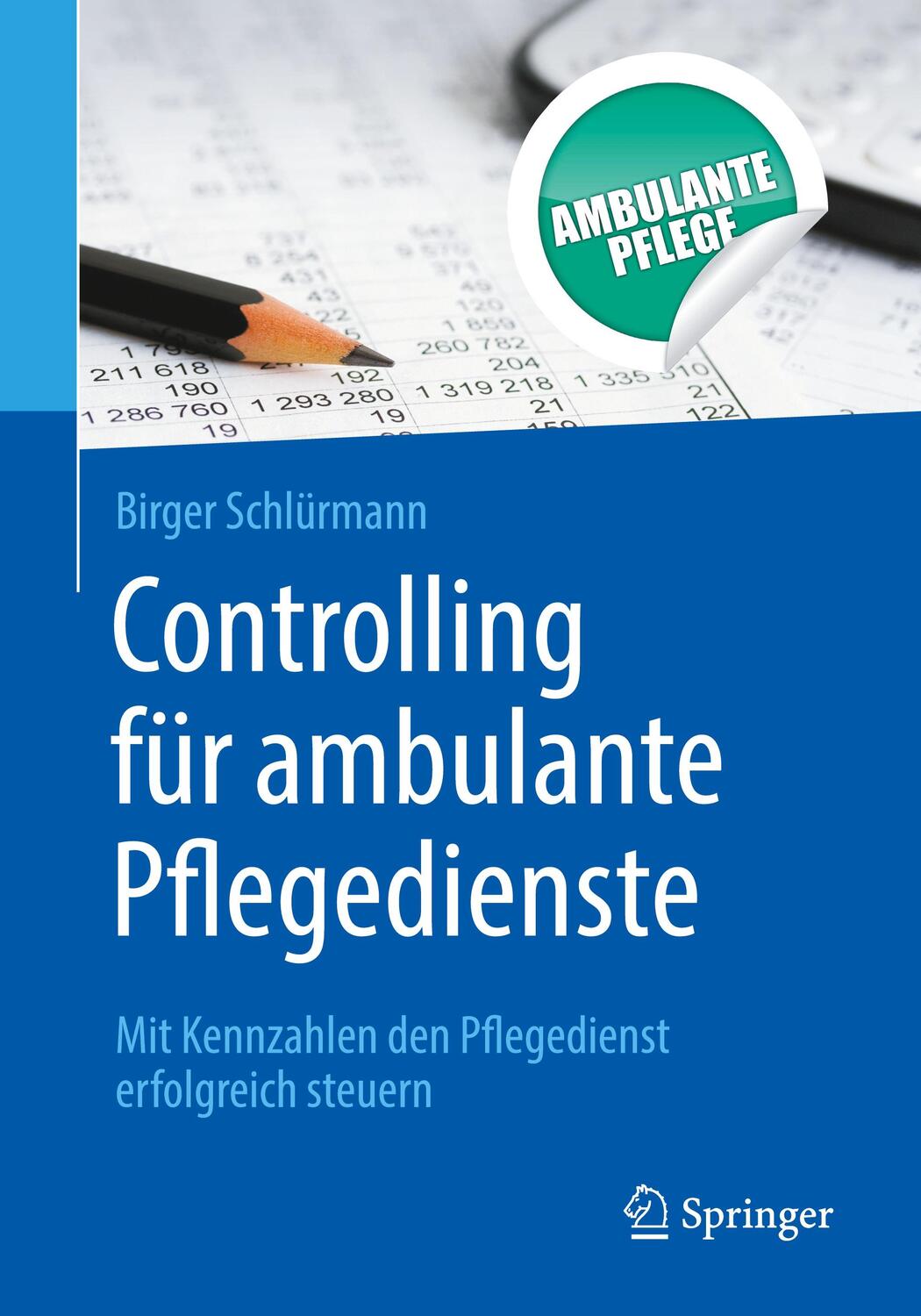 Cover: 9783662561751 | Controlling für ambulante Pflegedienste | Birger Schlürmann | Buch