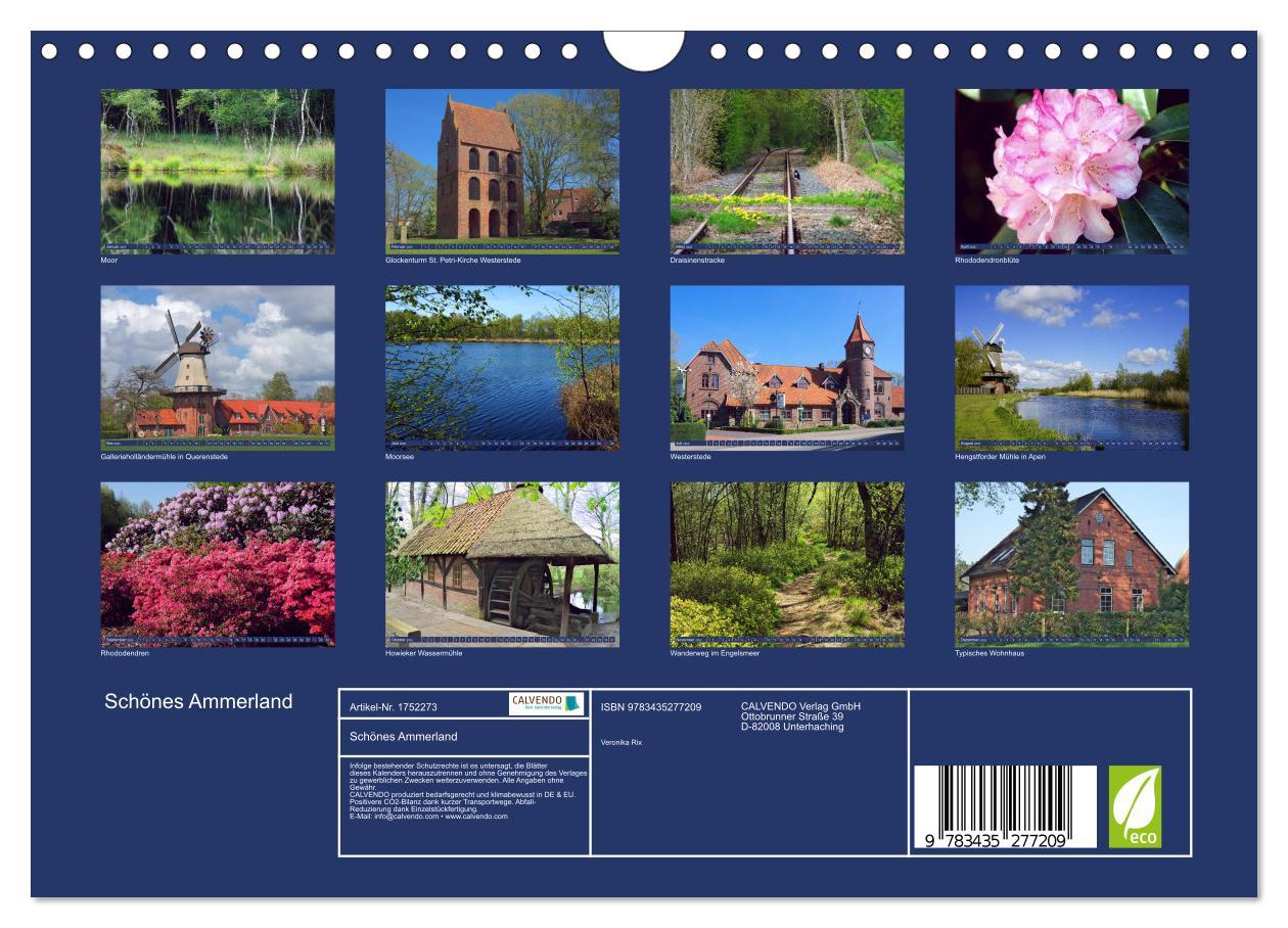 Bild: 9783435277209 | Schönes Ammerland (Wandkalender 2025 DIN A4 quer), CALVENDO...