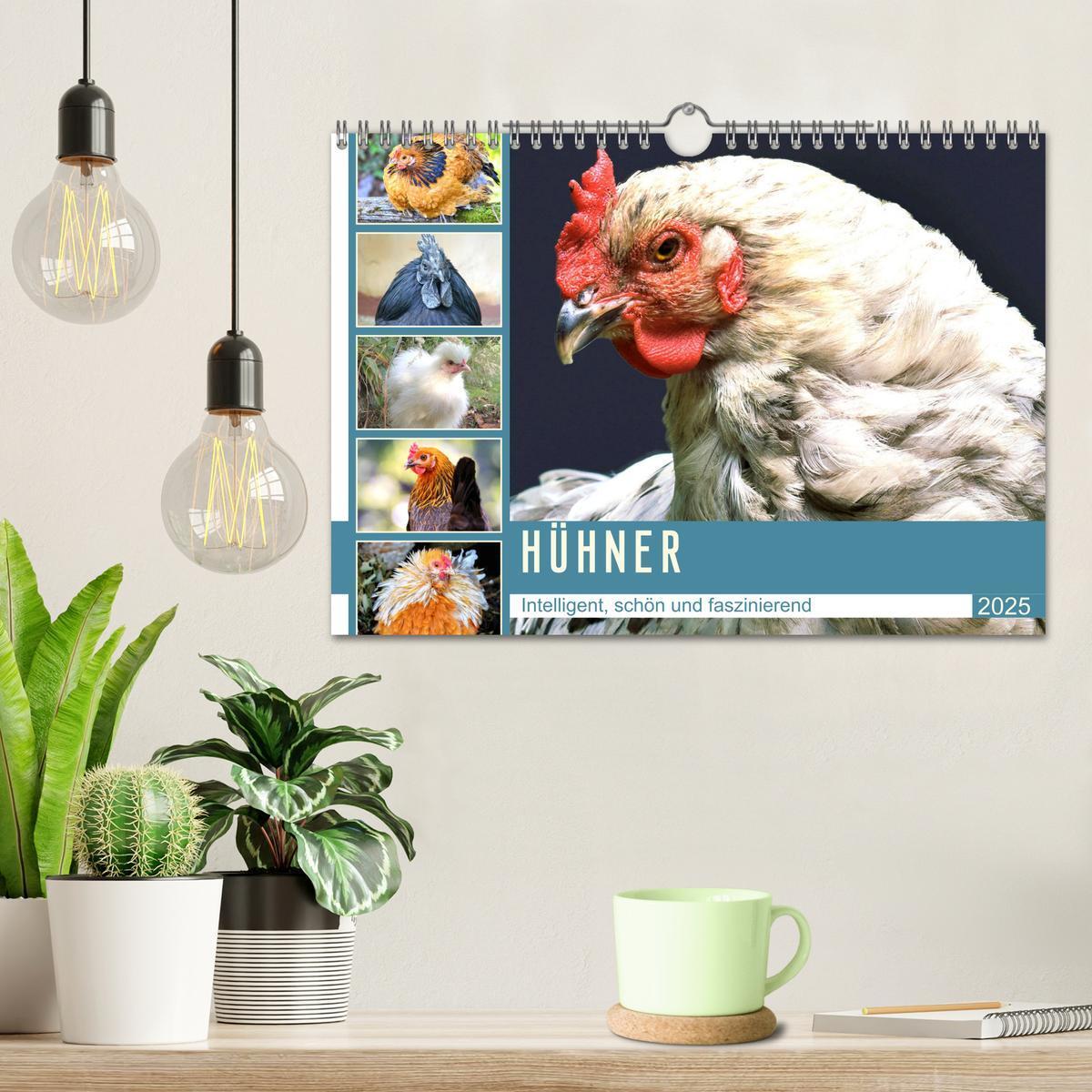 Bild: 9783435048601 | Hühner. Intelligent, schön und faszinierend (Wandkalender 2025 DIN...