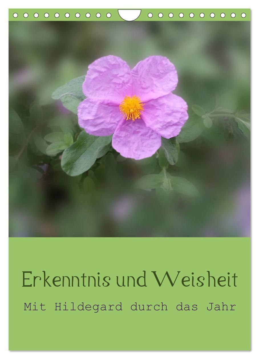 Cover: 9783675477162 | Erkenntnis und Weisheit - Hildegard von Bingen (Wandkalender 2024...