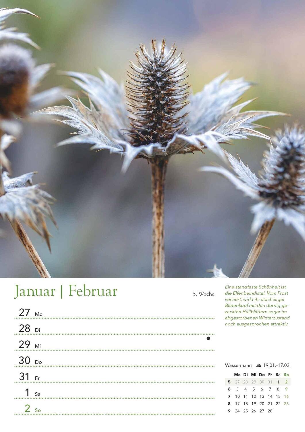 Bild: 4250809653501 | Ein Jahr in meinem Garten - Wochenkalender 2025 - Garten-Kalender...