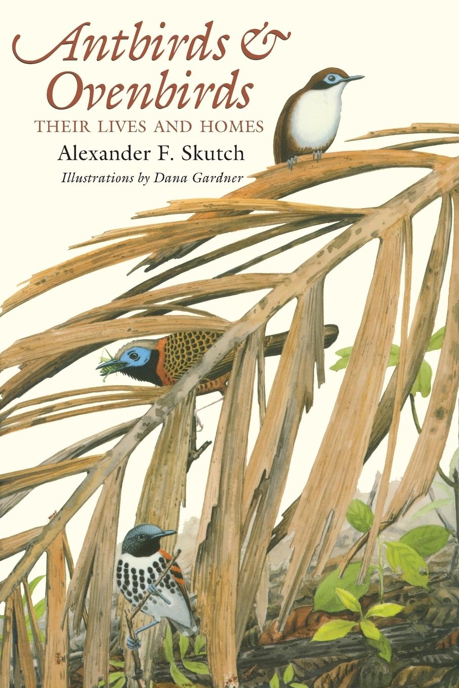 Cover: 9780292777057 | Antbirds and Ovenbirds | Their Lives and Homes | Alexander F. Skutch