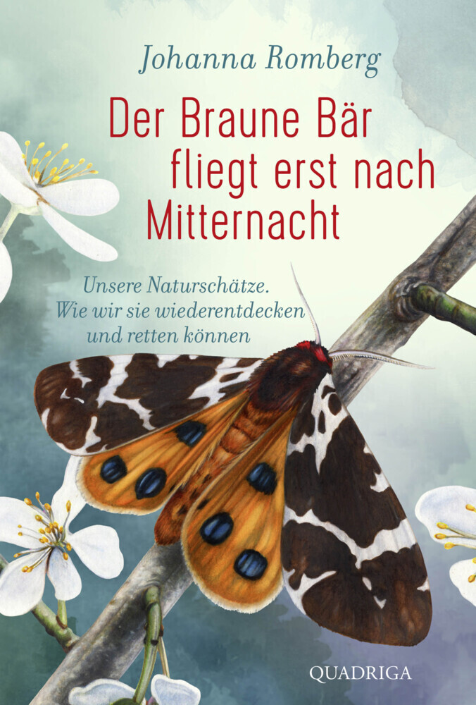 Cover: 9783869951041 | Der Braune Bär fliegt erst nach Mitternacht | Johanna Romberg | Buch