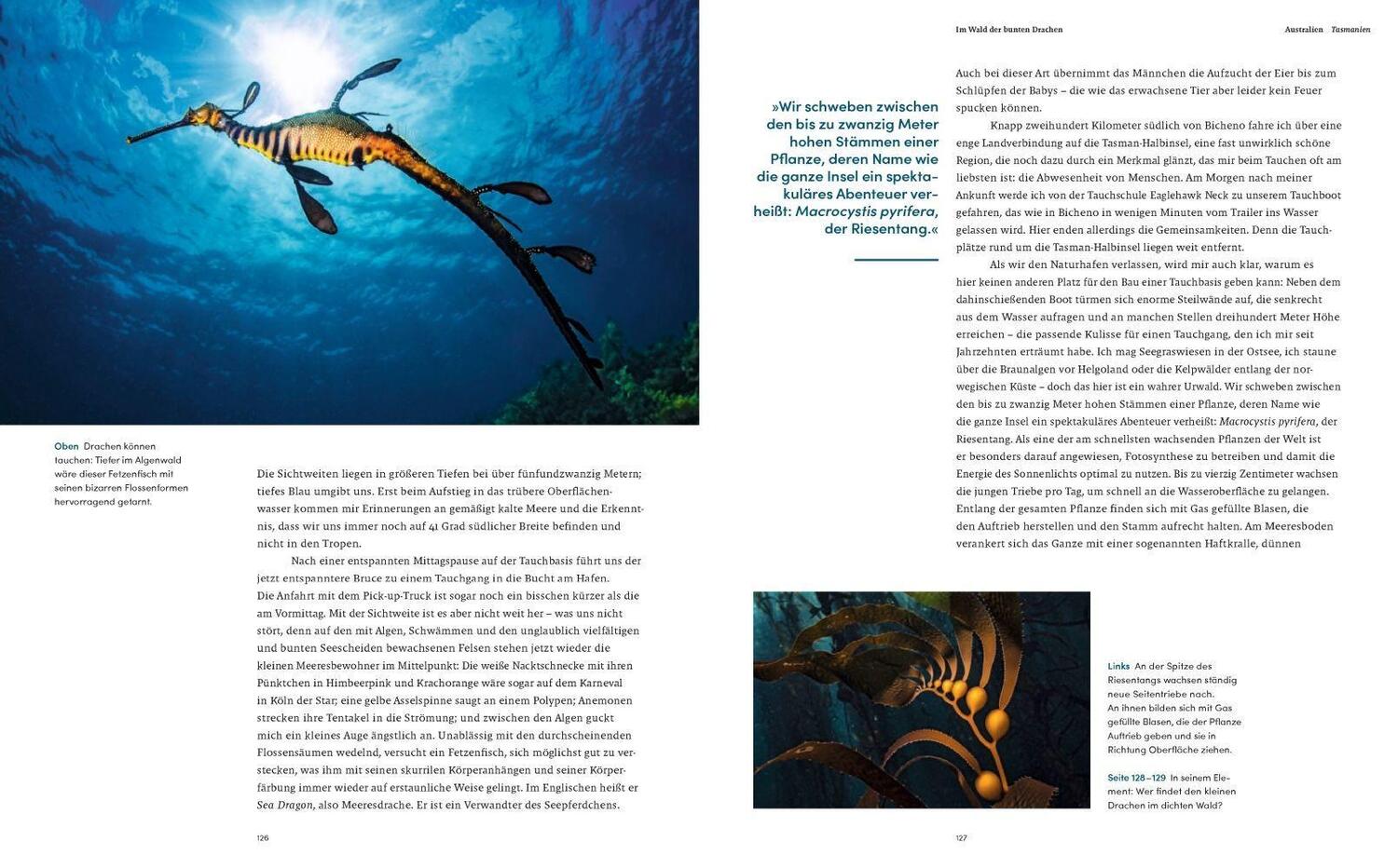 Bild: 9783957285119 | Leidenschaft Ozean | Expeditionen in die Tiefe | Uli Kunz | Buch