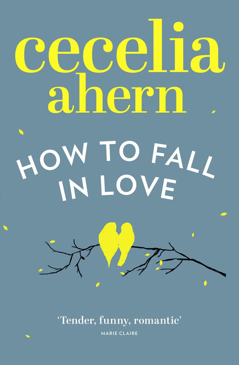 Cover: 9780007481583 | How to Fall in Love | Cecelia Ahern | Taschenbuch | 424 S. | Englisch