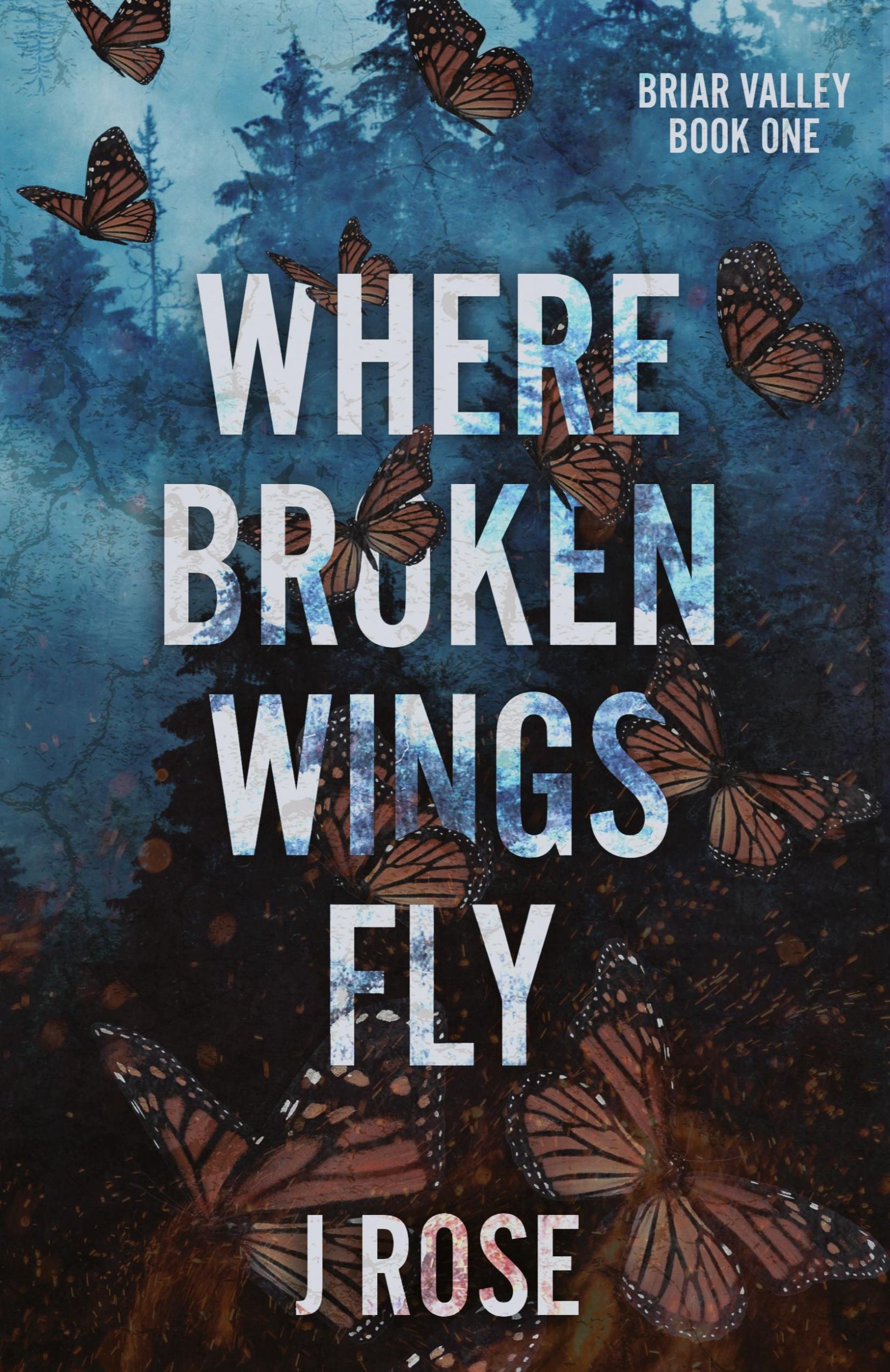 Cover: 9781915987082 | Where Broken Wings Fly | J. Rose | Taschenbuch | Englisch | 2023