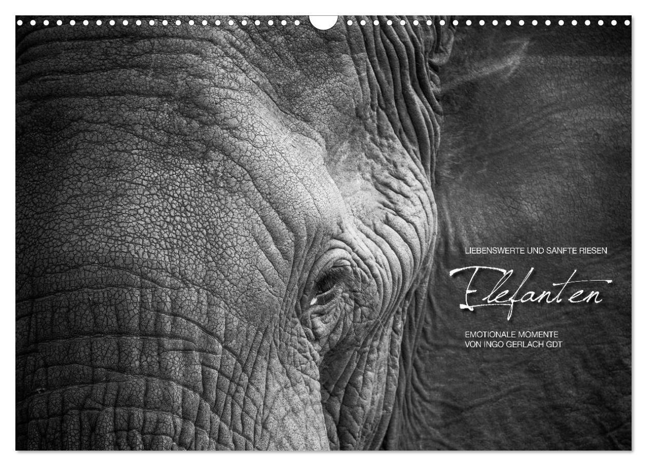 Cover: 9783383627019 | Emotionale Momente: Elefanten in black &amp; white (Wandkalender 2024...