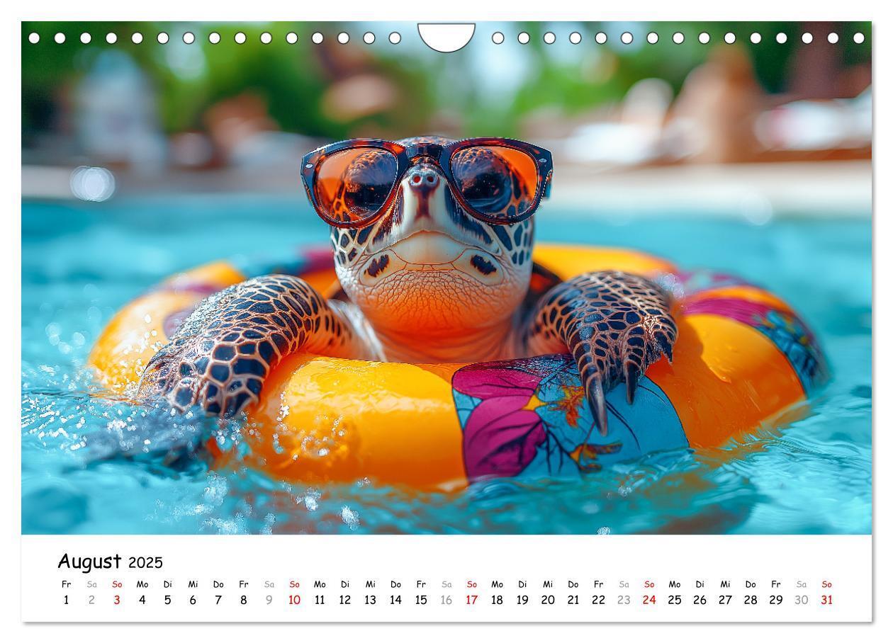 Bild: 9783457215784 | CHILL MAL - Entspannte Schildkröten beim Faulenzen (Wandkalender...