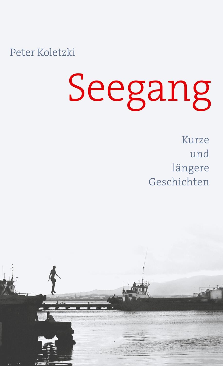 Cover: 9783739241142 | Seegang | Kurze und längere Geschichten | Peter Koletzki | Buch | 2023