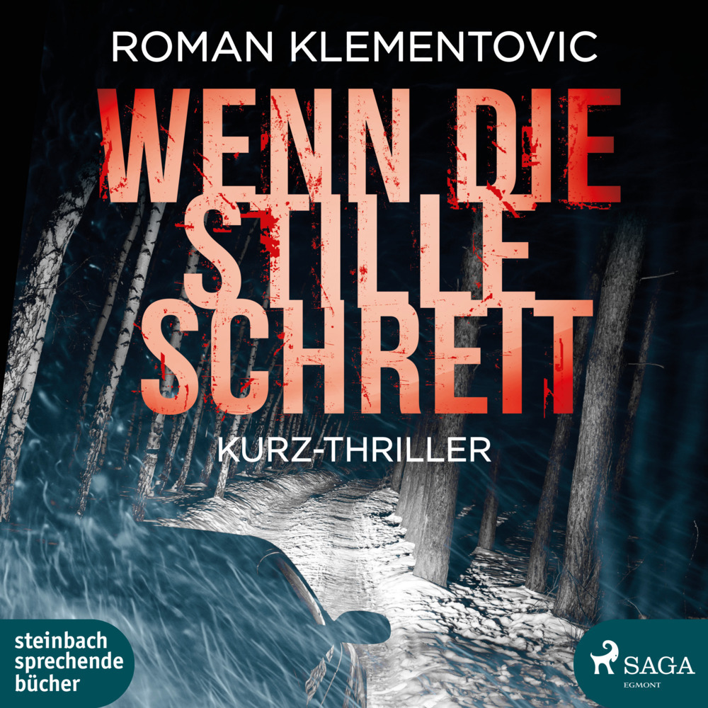 Cover: 9783869746500 | Wenn die Stille schreit, 1 Audio-CD, MP3 | Roman Klementovic | CD