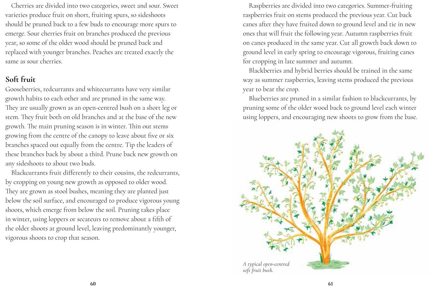 Bild: 9781911358718 | Perfect Pruning | Simon Akeroyd (u. a.) | Buch | Gebunden | Englisch