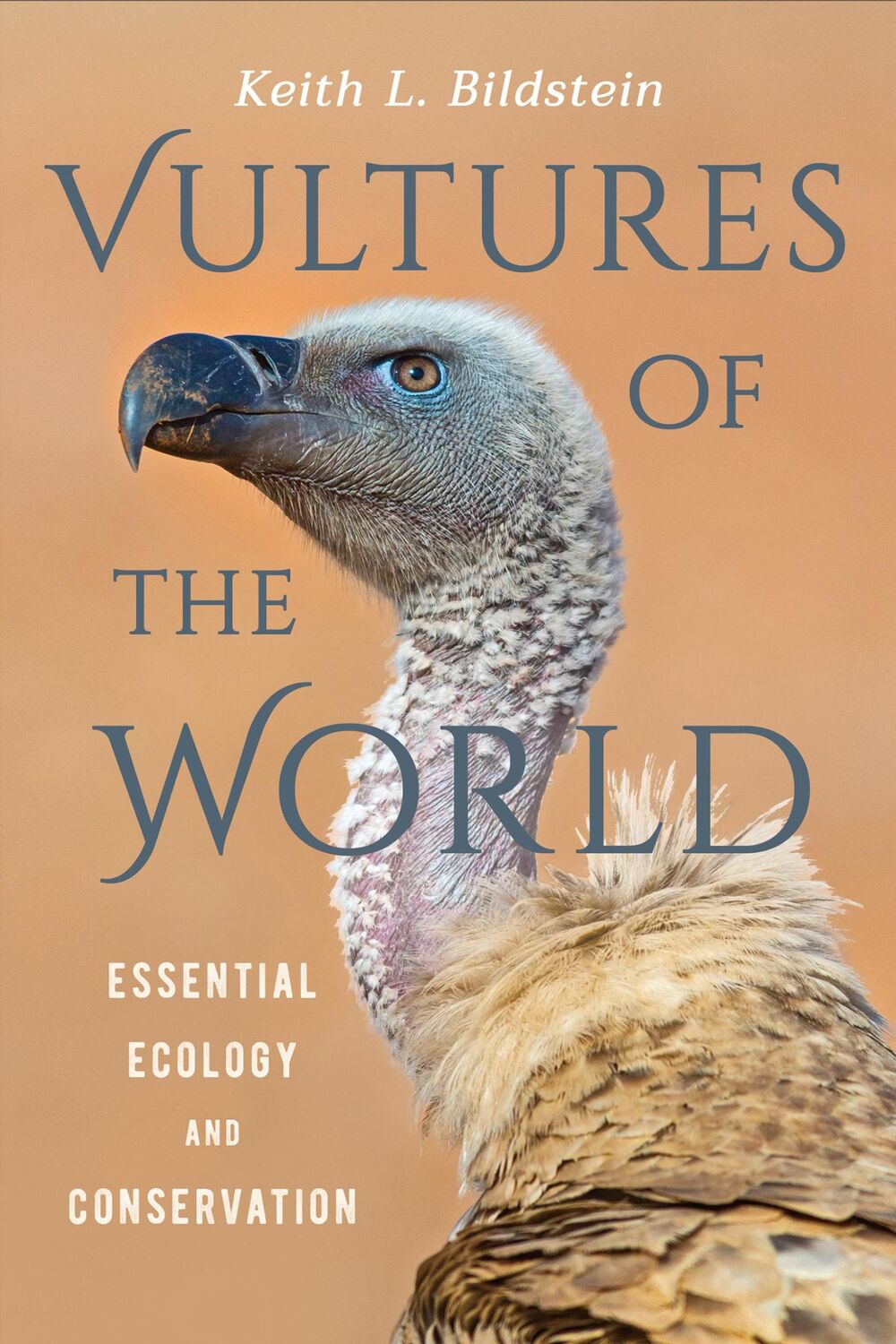 Cover: 9781501761614 | Vultures of the World | Essential Ecology and Conservation | Bildstein