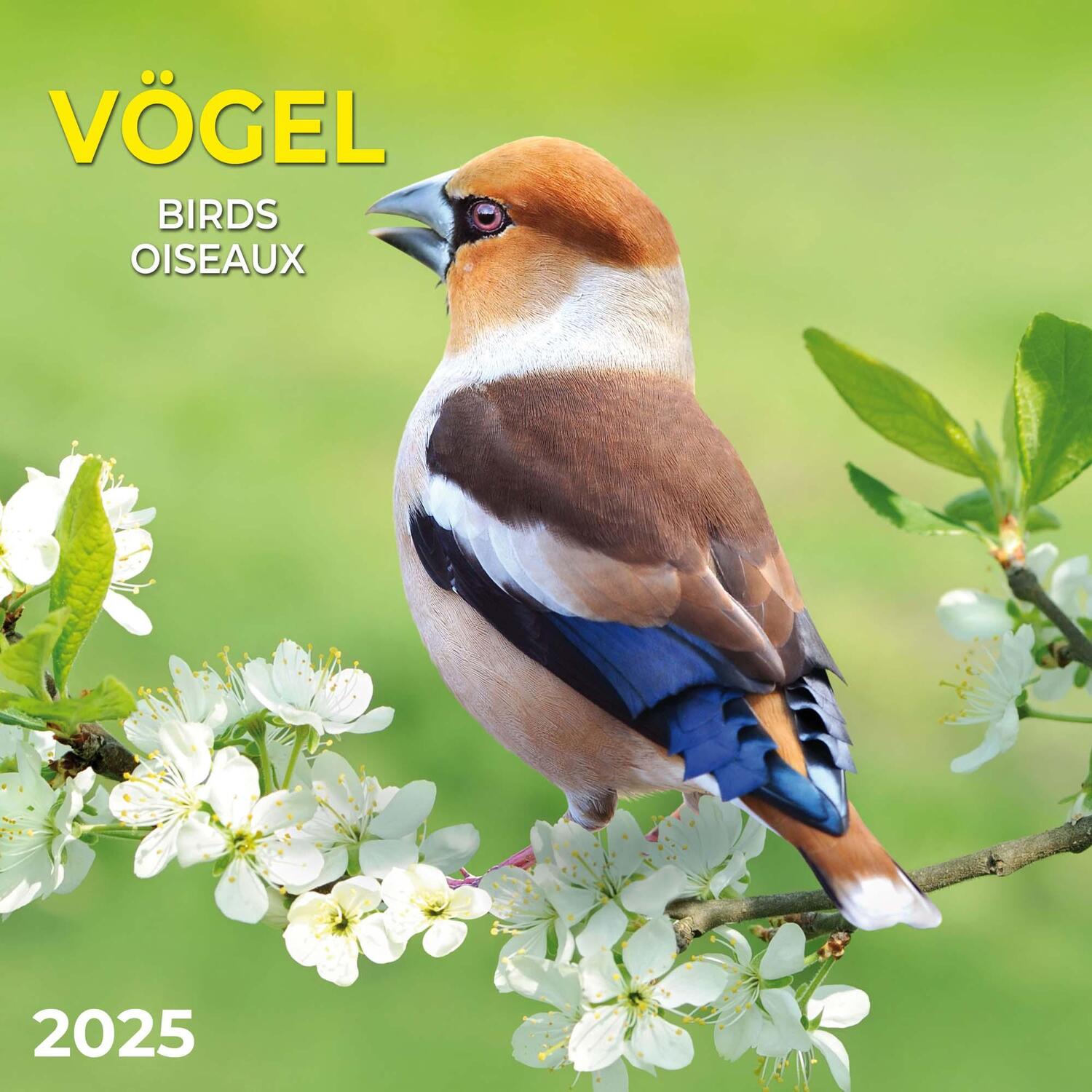 Cover: 9783959294713 | Vögel 2025 | Kalender 2025 | Kalender | Artwork Edition | 28 S. | 2025