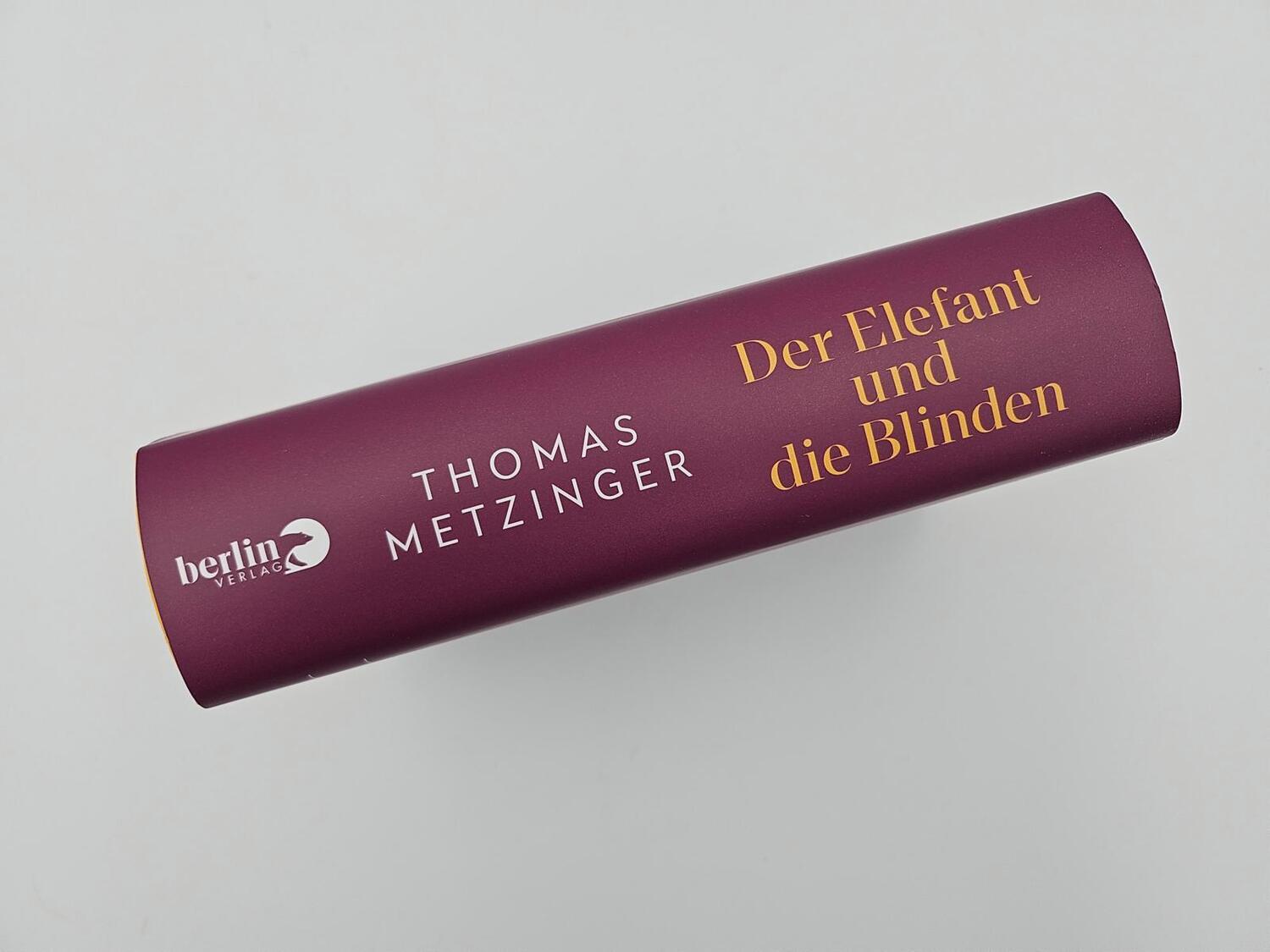 Bild: 9783827014870 | Der Elefant und die Blinden | Thomas Metzinger | Buch | 960 S. | 2023