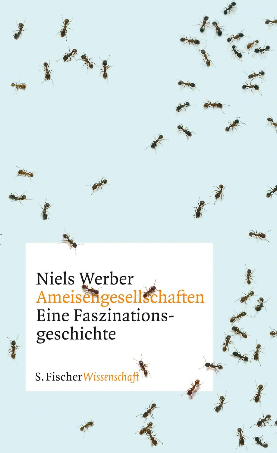 Cover: 9783100912121 | Ameisengesellschaften | Eine Faszinationsgeschichte | Niels Werber