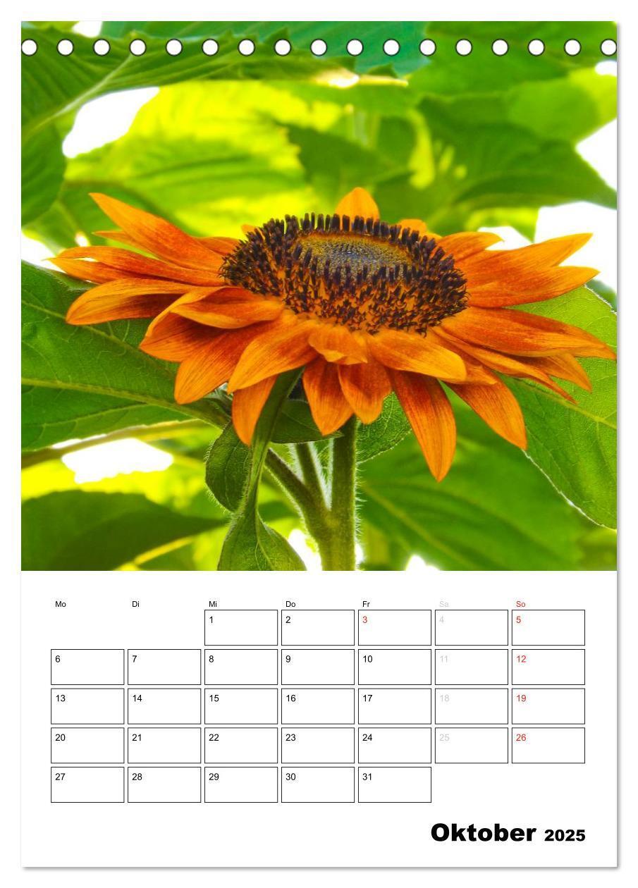 Bild: 9783435996476 | Strahlende Sonnenblumen (Tischkalender 2025 DIN A5 hoch), CALVENDO...