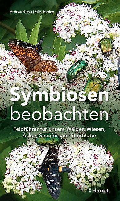 Cover: 9783258083629 | Symbiosen beobachten | Andreas Gigon (u. a.) | Taschenbuch | 208 S.