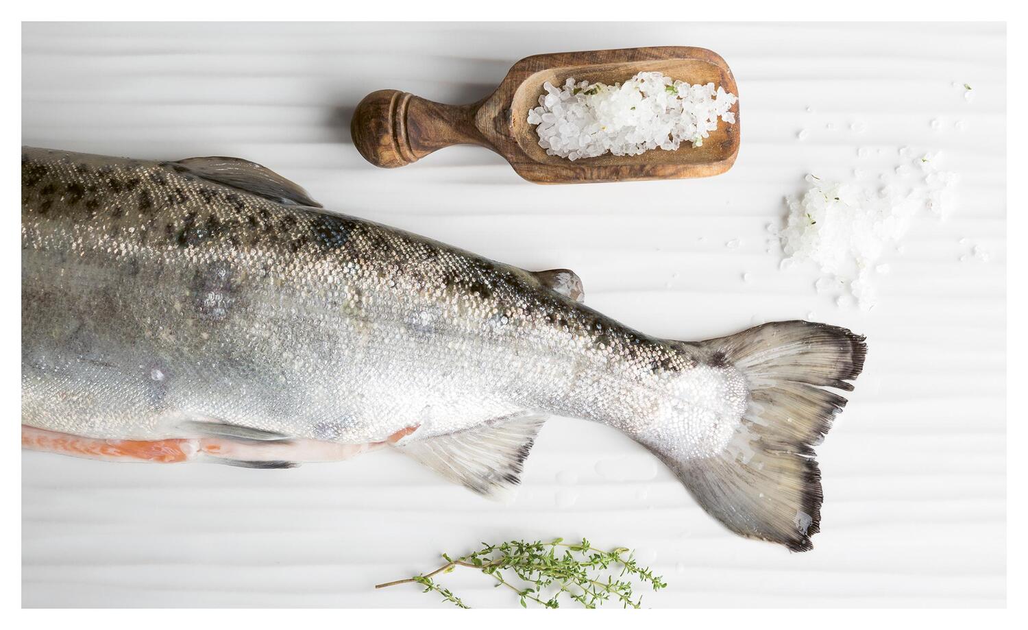 Bild: 9783706626347 | Fisch echt einfach | Köstliches aus heimischen Gewässern | Buch | 2018