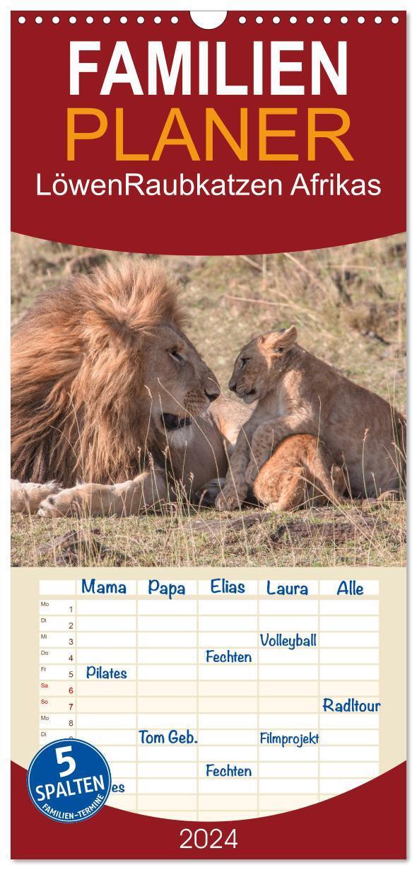 Cover: 9783383079795 | Familienplaner 2024 - Löwen - Raubkatzen Afrikas mit 5 Spalten...