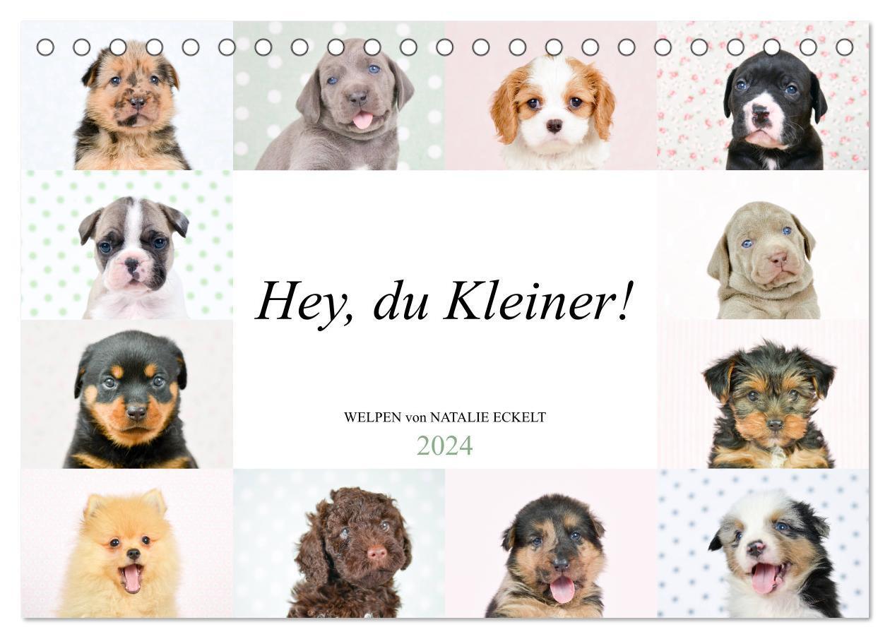 Cover: 9783675523784 | Hey, du Kleiner! (Tischkalender 2024 DIN A5 quer), CALVENDO...